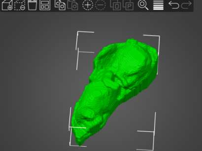 3D Printing a ultrasonography file